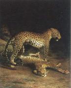 Jacques-Laurent Agasse two leopards playing oil painting picture wholesale